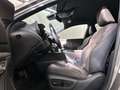 Lexus RX 350 Executive Line AWD Grau - thumbnail 27