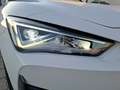 CUPRA Leon ST VZ DSG 4Drive LED AHK Navi Beats LHZ ACC PDC... Weiß - thumbnail 26