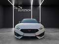 CUPRA Leon ST VZ DSG 4Drive LED AHK Navi Beats LHZ ACC PDC... Weiß - thumbnail 8