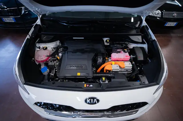 Kia Niro view 12