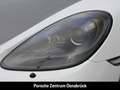 Porsche Cayman 718 GT4 Clubsportpaket Vollschalensitz Biały - thumbnail 6
