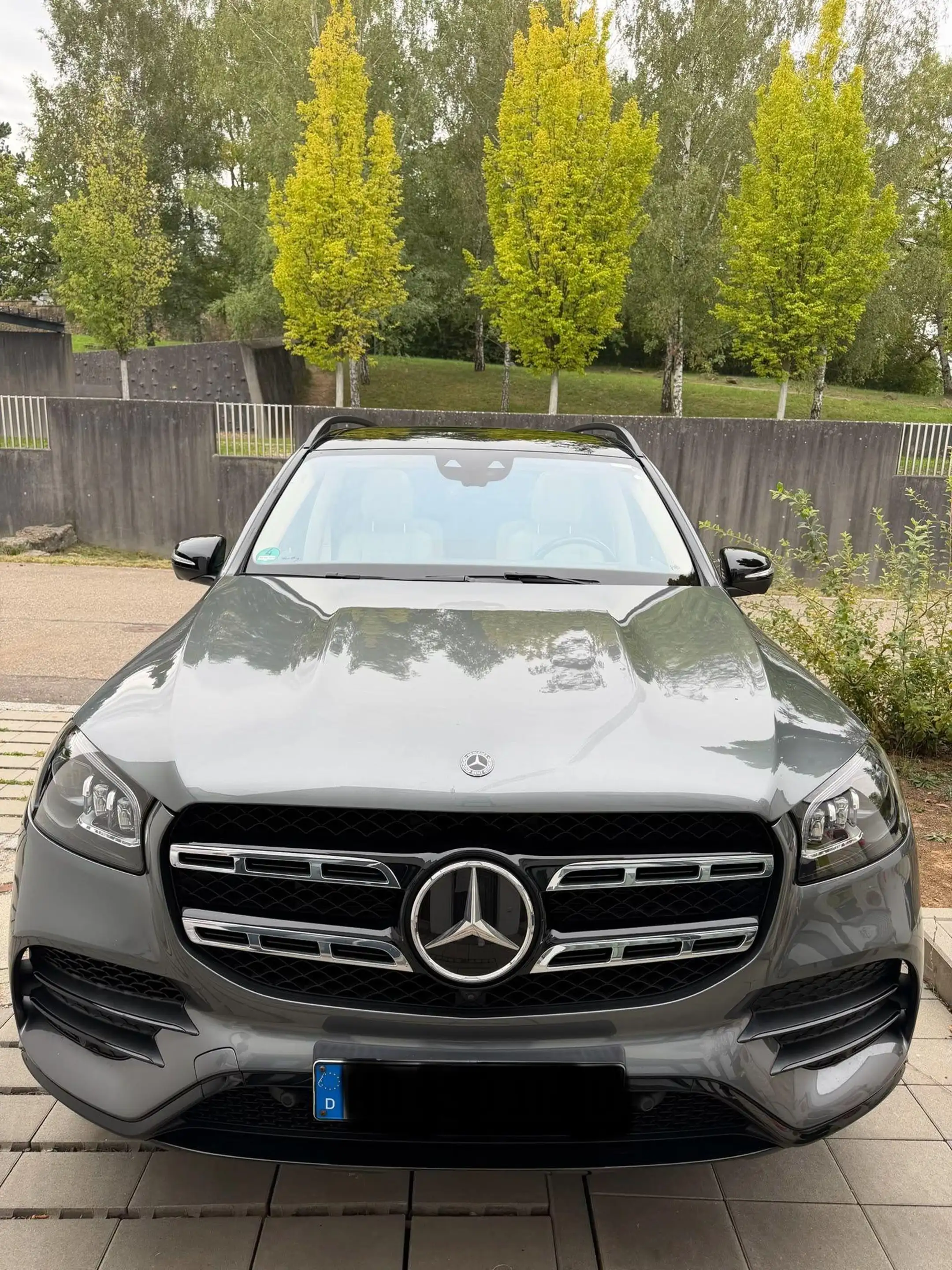 Mercedes-Benz GLS 580 4Matic*VOLL*AMG*SCHECKHEFT*Pano*Thule* — photo 8
