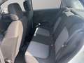 Fiat Punto Punto 5p 1.4 natural power Street 70cv E6 Bianco - thumbnail 12