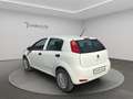 Fiat Punto Punto 5p 1.4 natural power Street 70cv E6 Bianco - thumbnail 7