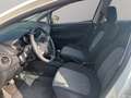Fiat Punto Punto 5p 1.4 natural power Street 70cv E6 Bianco - thumbnail 11