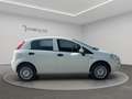 Fiat Punto Punto 5p 1.4 natural power Street 70cv E6 Bianco - thumbnail 4