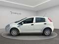 Fiat Punto Punto 5p 1.4 natural power Street 70cv E6 Bianco - thumbnail 8