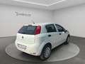Fiat Punto Punto 5p 1.4 natural power Street 70cv E6 Bianco - thumbnail 9