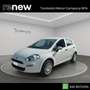 Fiat Punto Punto 5p 1.4 natural power Street 70cv E6 Bianco - thumbnail 1