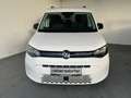Volkswagen Caddy Family TSI Weiß - thumbnail 2