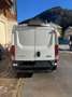 Iveco Daily 35S16 Weiß - thumbnail 12