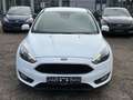 Ford Focus Lim. 1.5 EcoBoost . Navi . Xenon . Parkass Weiß - thumbnail 2