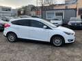 Ford Focus Lim. 1.5 EcoBoost . Navi . Xenon . Parkass Weiß - thumbnail 4