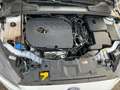 Ford Focus Lim. 1.5 EcoBoost . Navi . Xenon . Parkass Weiß - thumbnail 20