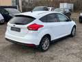 Ford Focus Lim. 1.5 EcoBoost . Navi . Xenon . Parkass Weiß - thumbnail 5