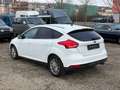 Ford Focus Lim. 1.5 EcoBoost . Navi . Xenon . Parkass Weiß - thumbnail 7