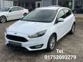 Ford Focus Lim. 1.5 EcoBoost . Navi . Xenon . Parkass Weiß - thumbnail 1