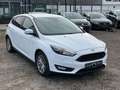 Ford Focus Lim. 1.5 EcoBoost . Navi . Xenon . Parkass Weiß - thumbnail 3