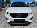 Volvo XC40 2.0 B3 Plus Dark auto TETTO/19/PILOT/HARMAN KARDON Wit - thumbnail 13