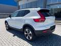 Volvo XC40 2.0 B3 Plus Dark auto TETTO/19/PILOT/HARMAN KARDON Wit - thumbnail 3