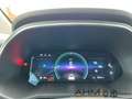 Renault ZOE Life R110 ZE50 STANDHEIZUNG MIETAKKU Bianco - thumbnail 18
