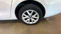 SEAT Leon SP 2.0 TDI 85kW Style Go - thumbnail 19