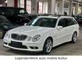 Mercedes-Benz E 55 AMG E55 AMG T-S211 Wie JAHRESWAGEN MB-Garantie 1Lack Blanco - thumbnail 1