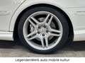 Mercedes-Benz E 55 AMG E55 AMG T-S211 Wie JAHRESWAGEN MB-Garantie 1Lack Blanco - thumbnail 19