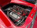 AC Sonstige RAM SC-Cobra Rot - thumbnail 20