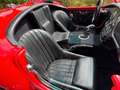 AC Sonstige RAM SC-Cobra Rot - thumbnail 18