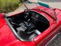 AC Sonstige RAM SC-Cobra Rot - thumbnail 17