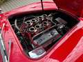 AC Sonstige RAM SC-Cobra Rot - thumbnail 21