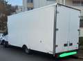 Iveco Alb - thumbnail 4