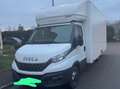 Iveco Alb - thumbnail 3