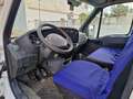 Iveco frigo - thumbnail 6