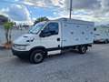 Iveco frigo - thumbnail 4