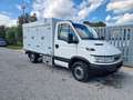 Iveco frigo - thumbnail 1