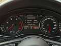 Audi A5 3.0TDI-V6|S-Line|Matrix|ACC|PDC|Stauass|Abbiegeass Grau - thumbnail 24