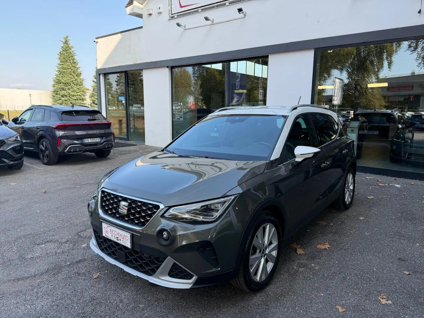 SEAT Arona Arona 1.0 tgi Xperience 90cv Grigio - 2
