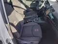 SEAT Ibiza 1.0 TSI FR ADAPT CRUISE 360 CAMERA LED NAVI ECC TR Blanc - thumbnail 34