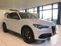Alfa Romeo Stelvio Stelvio 2.2 Turbodiesel 210 CV AT8 Q4 Veloce MY24 Gris - thumbnail 5