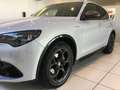 Alfa Romeo Stelvio Stelvio 2.2 Turbodiesel 210 CV AT8 Q4 Veloce MY24 Gris - thumbnail 10