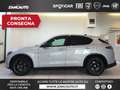 Alfa Romeo Stelvio Stelvio 2.2 Turbodiesel 210 CV AT8 Q4 Veloce MY24 Gris - thumbnail 1