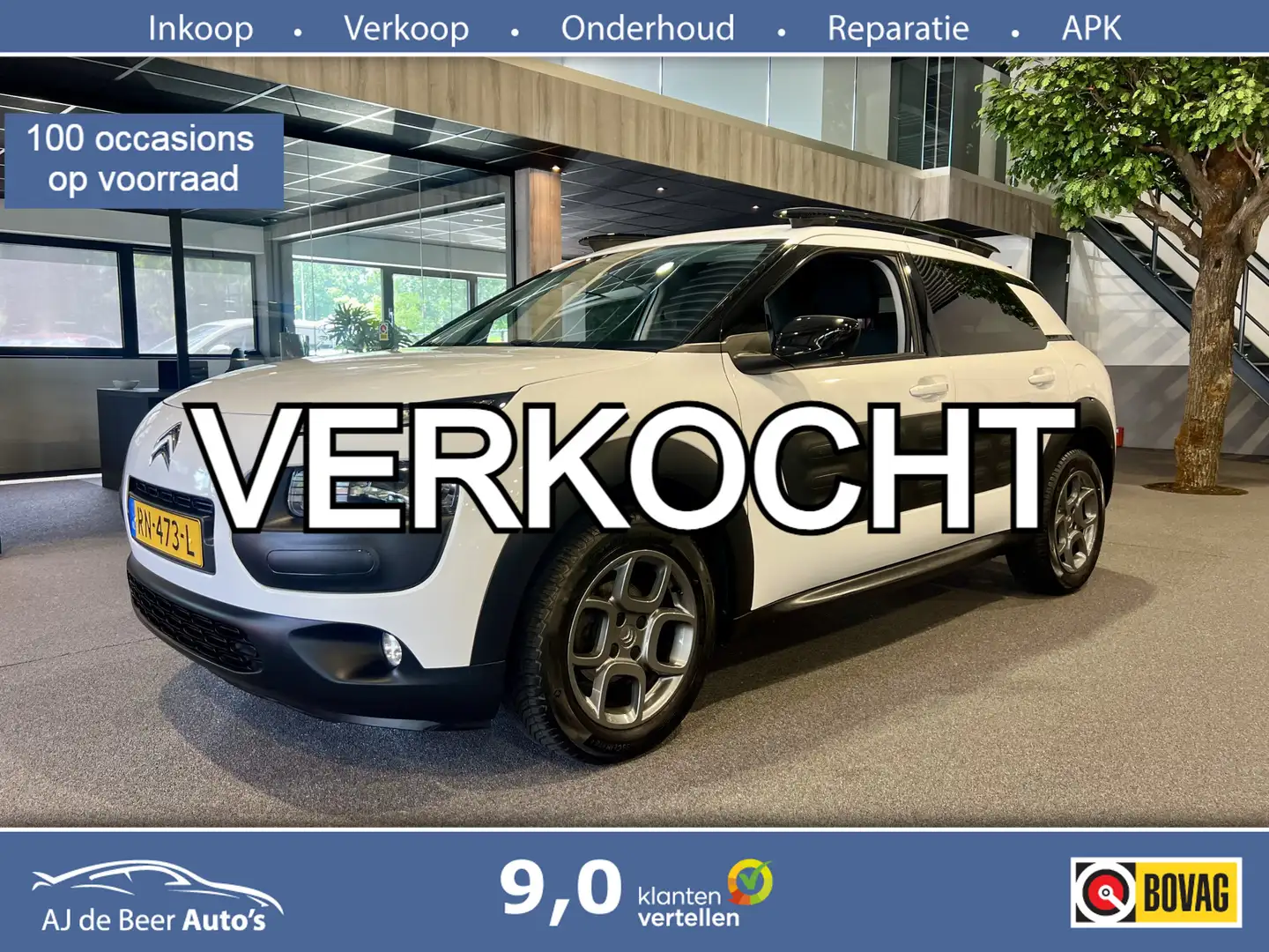 Citroen C4 Cactus 1.2 PureTech Shine Automaat | Nieuwe distributie r Bianco - 1