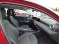 Mercedes-Benz A 200 Progressive Line Advanced Plus AHK Verkehrsassist Rouge - thumbnail 8