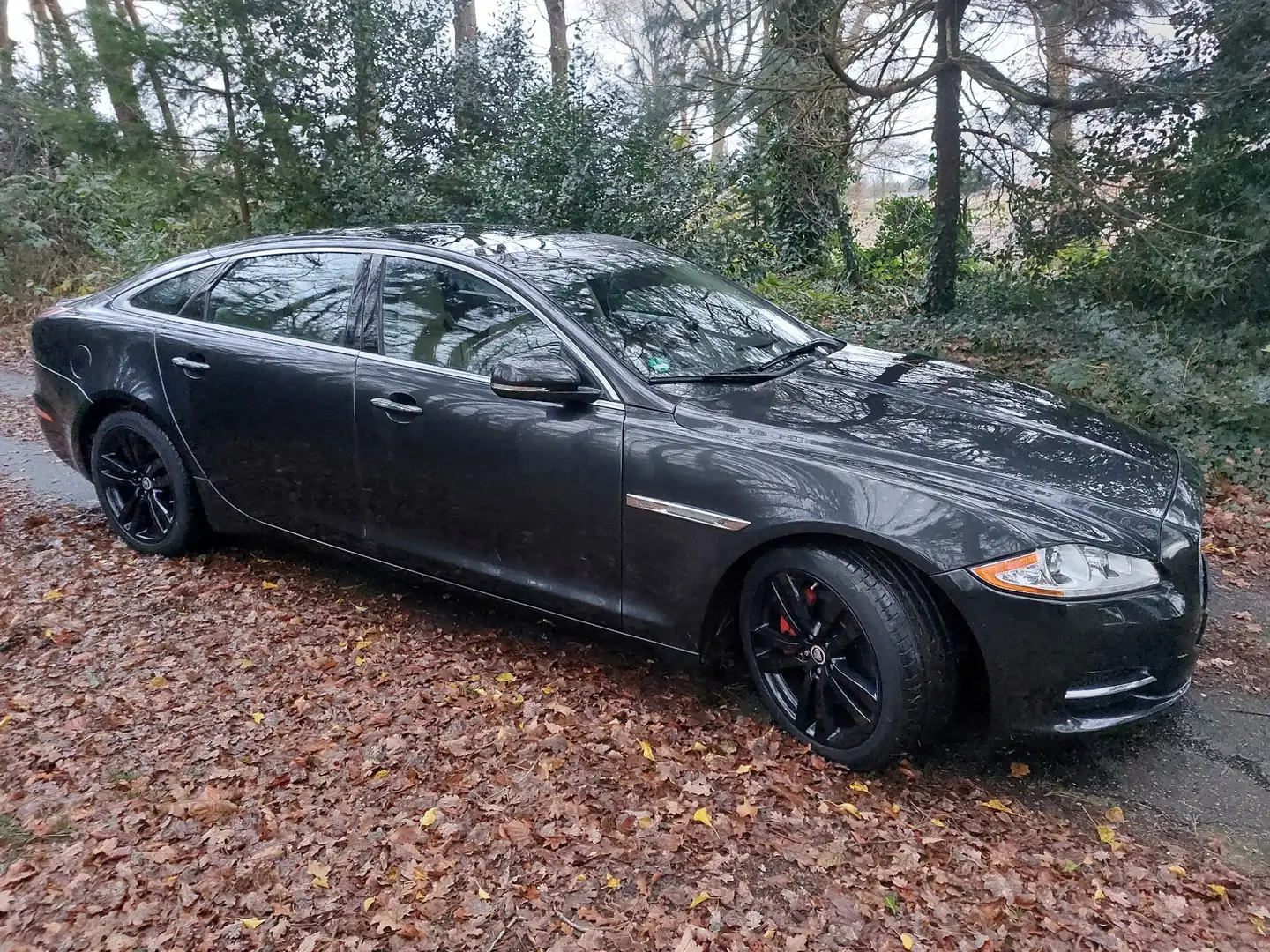 Jaguar XJ Jaguar XJ 5.0 V8 L full option - 2