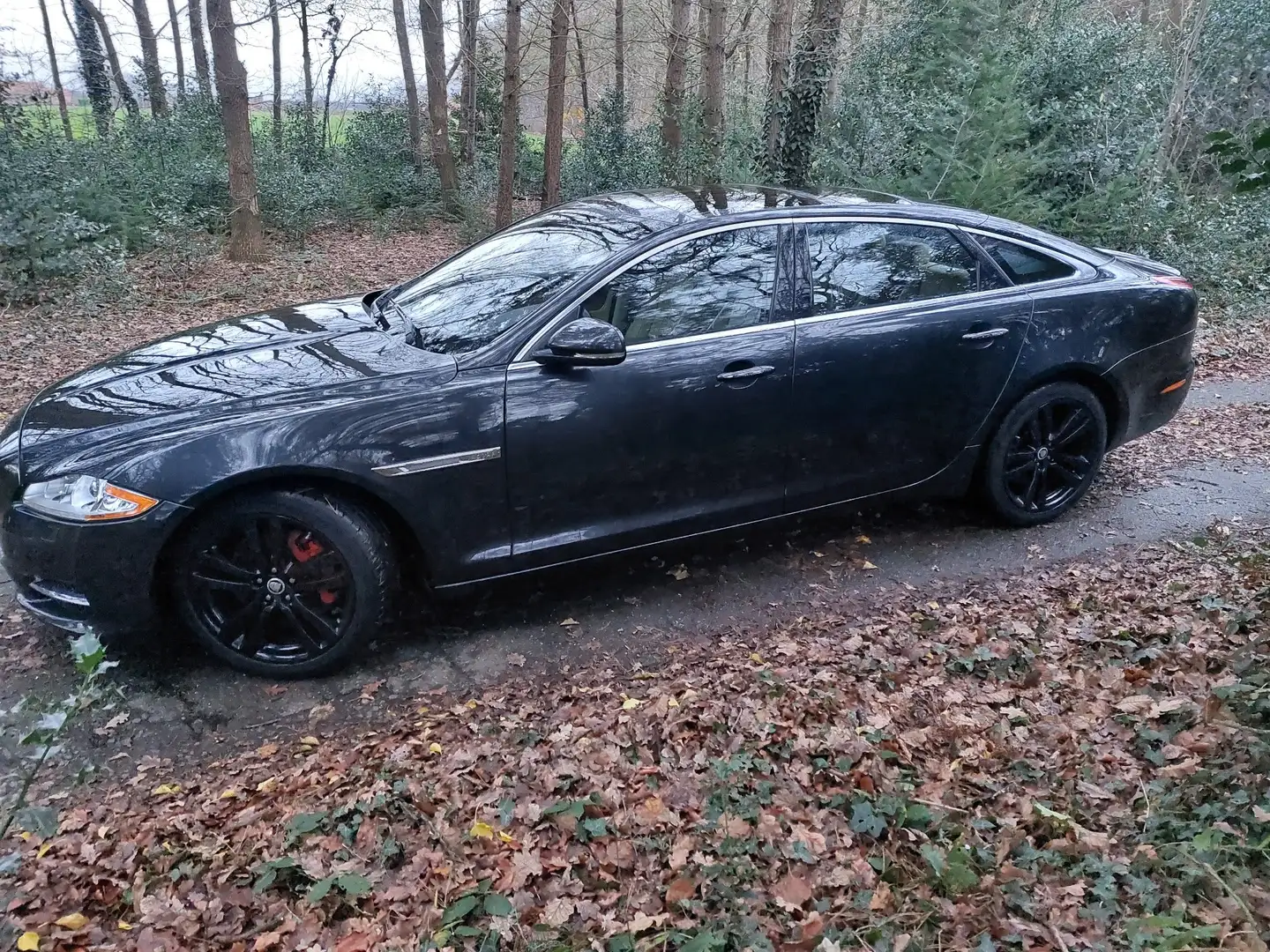 Jaguar XJ Jaguar XJ 5.0 V8 L full option - 1