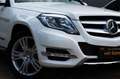 Mercedes-Benz GLK 350 7-G NAVI KEYLES KAMERA PANORAMA Weiß - thumbnail 11