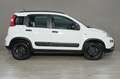 Fiat Panda FIAT Panda 1.3 MJT 95 CV S&S 4x4 Wit - thumbnail 6