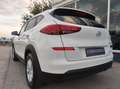 Hyundai TUCSON 1.6CRDI SLE 4x2 Blanco - thumbnail 7